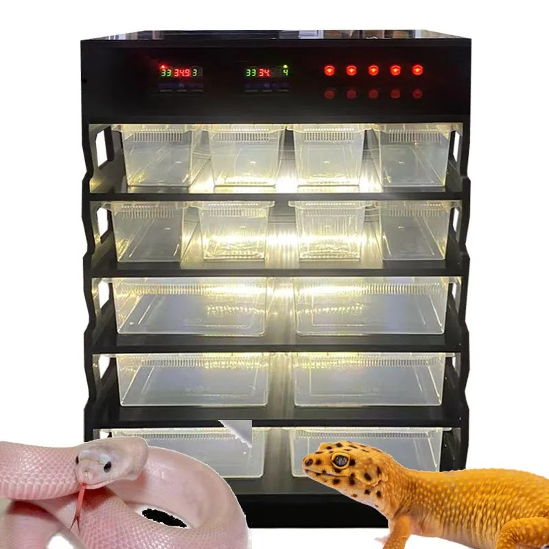 Gecko Lighting & Decor - Perlengkapan Reptil PVC Cerdas, Perlengkapan Reptil,