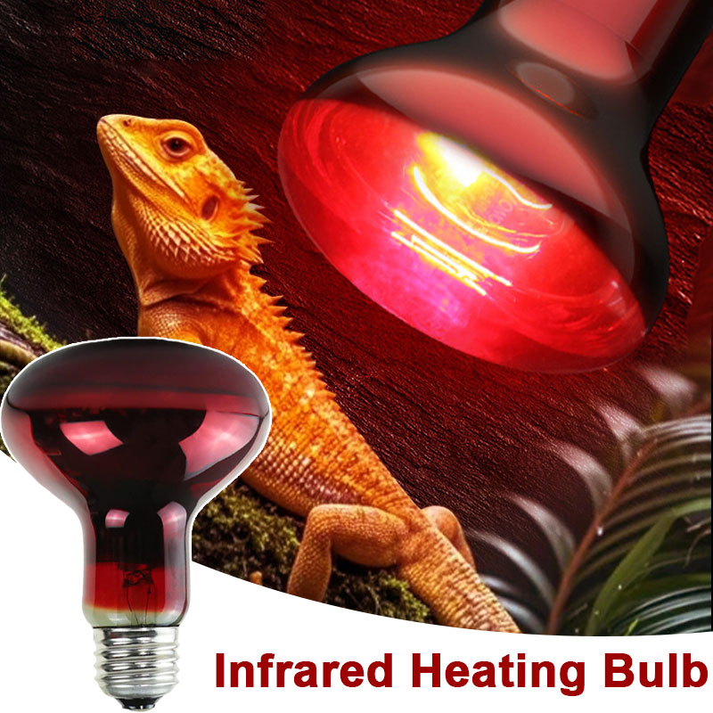 Lampu Panas Reptil 100V/220V B - Gecko Lighting & Decor ulasan dan harga