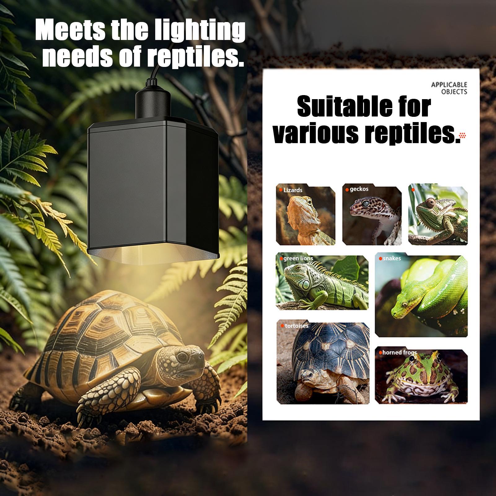 Penutup Lampu Panas Reptil Pen - Gecko Lighting & Decor ulasan dan harga