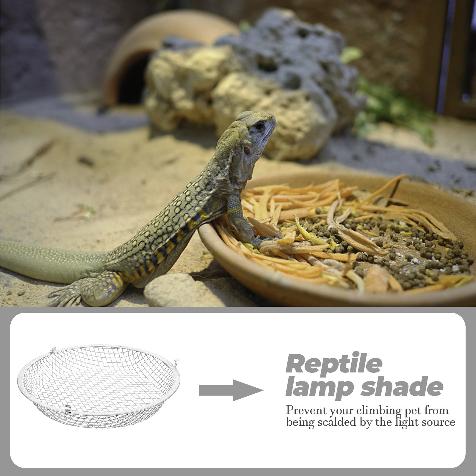 Penutup Lampu Pemanas Reptil,  - Gecko Lighting & Decor ulasan dan harga